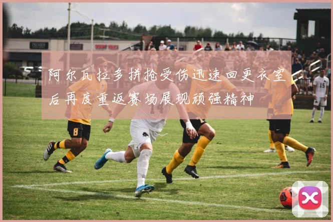 阿尔瓦拉多拼抢受伤迅速回更衣室后再度重返赛场展现顽强精神