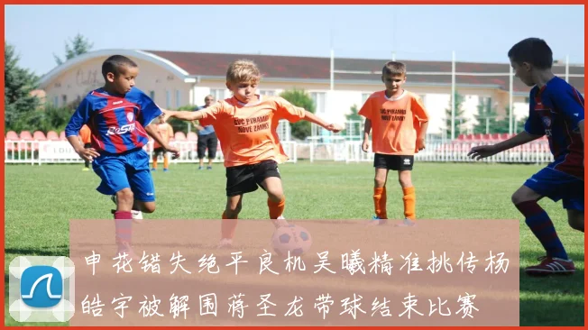 申花错失绝平良机吴曦精准挑传杨皓宇被解围蒋圣龙带球结束比赛