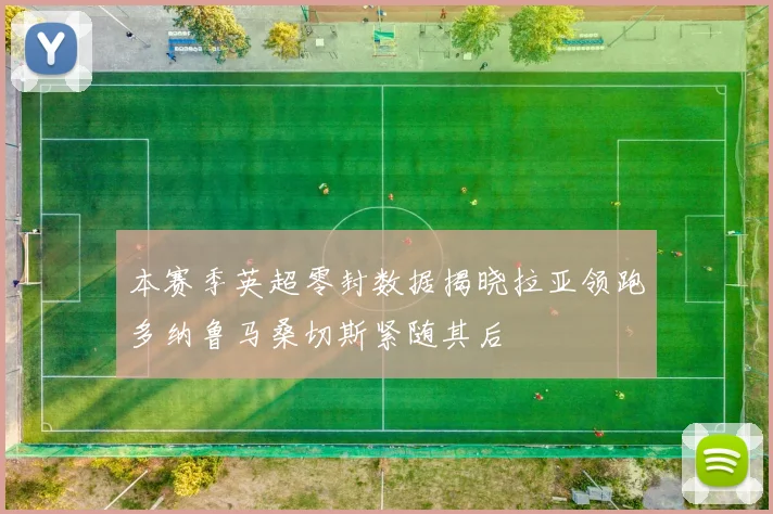 本赛季英超零封数据揭晓拉亚领跑多纳鲁马桑切斯紧随其后