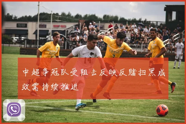 中超争冠队受阻击反映反赌扫黑成效需持续推进
