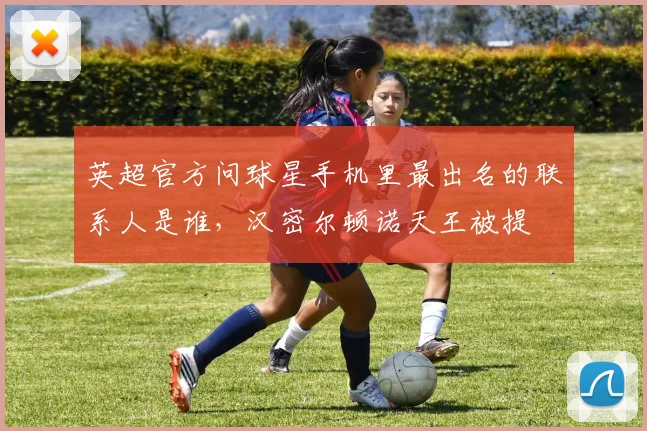 英超官方问球星手机里最出名的联系人是谁，汉密尔顿诺天王被提