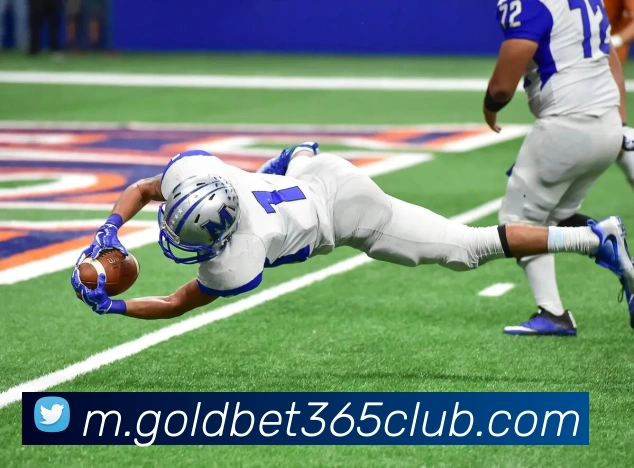 金色体育服务体系